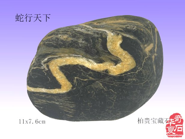 石中“金蛇舞动跃华夏 祥云缭绕满乾坤”