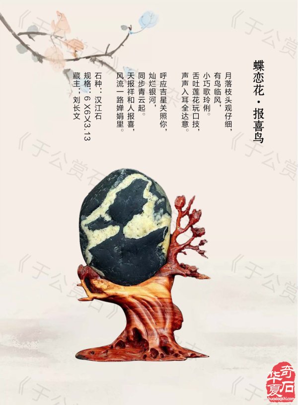 新的一期《于公赏石》电子版杂志上线了