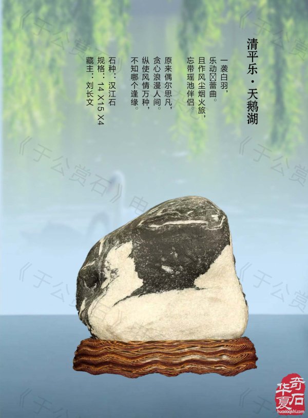 新的一期《于公赏石》电子版杂志上线了