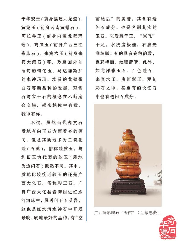 登录《于公赏石》各大石展一网打尽