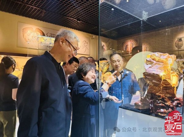 特级展品发布｜2025中国（宣化）战国红玛瑙·天雕艺术文化旅游交流会暨京津冀观赏石精品联合展盛大开幕