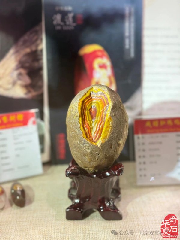 特级展品发布｜2025中国（宣化）战国红玛瑙·天雕艺术文化旅游交流会暨京津冀观赏石精品联合展盛大开幕