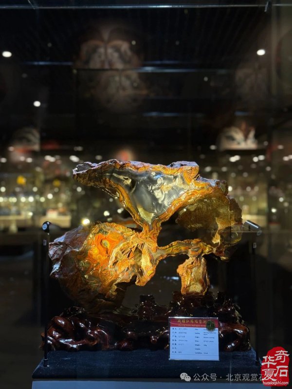 特级展品发布｜2025中国（宣化）战国红玛瑙·天雕艺术文化旅游交流会暨京津冀观赏石精品联合展盛大开幕