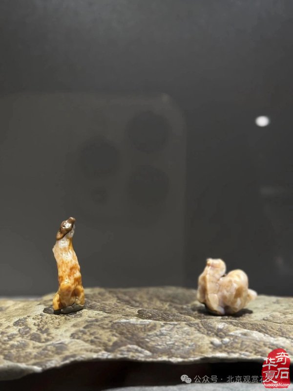 特级展品发布｜2025中国（宣化）战国红玛瑙·天雕艺术文化旅游交流会暨京津冀观赏石精品联合展盛大开幕