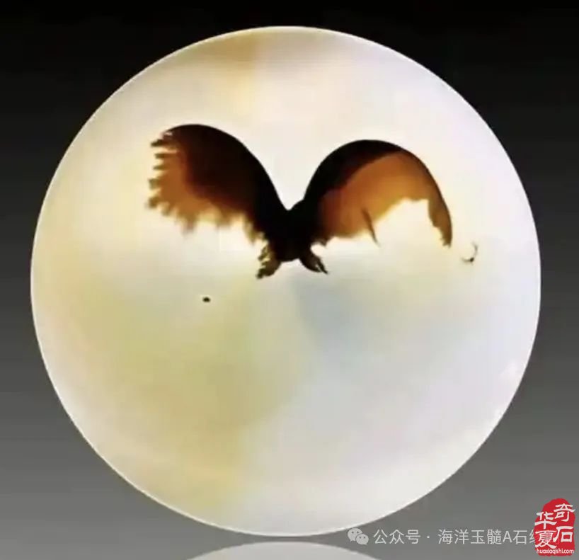 奇特的海洋玉髓究竟有何奥秘