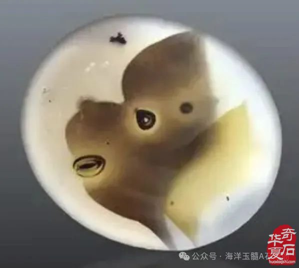 奇特的海洋玉髓究竟有何奥秘