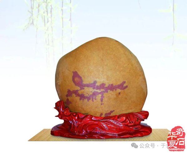 科学赏石馆开馆石界大咖嘉宾云集