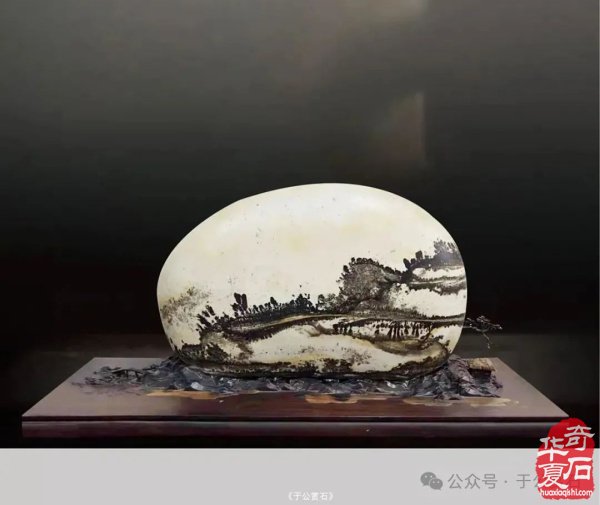 科学赏石馆开馆石界大咖嘉宾云集