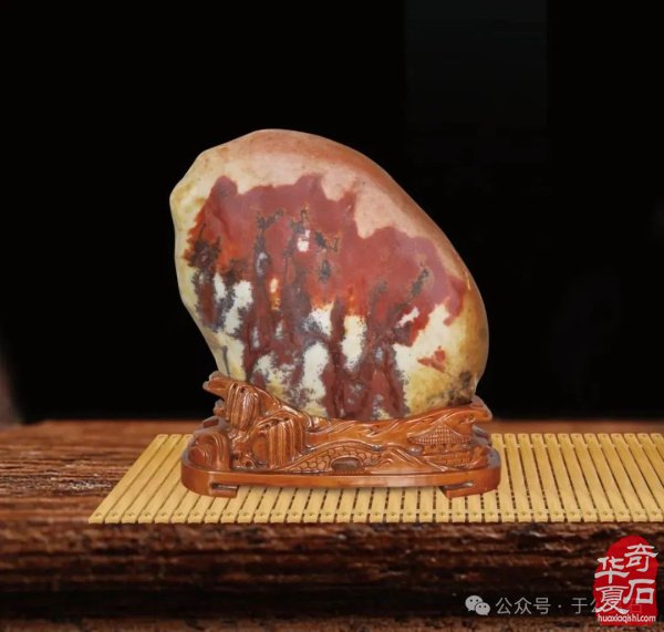 科学赏石馆开馆石界大咖嘉宾云集