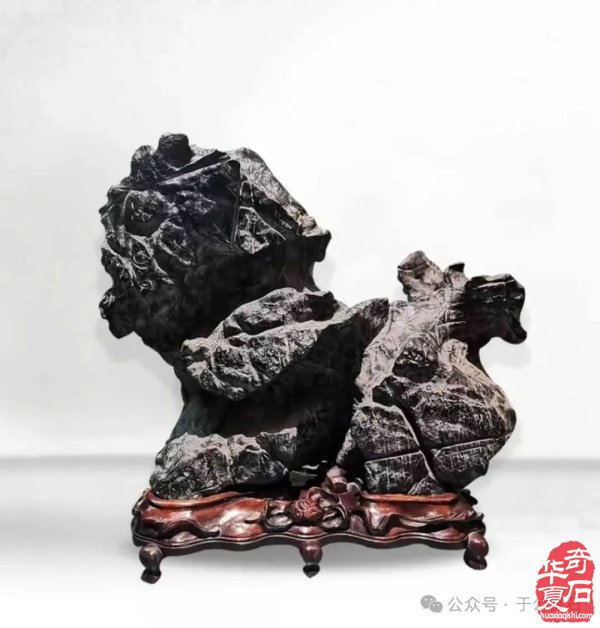 科学赏石馆开馆石界大咖嘉宾云集
