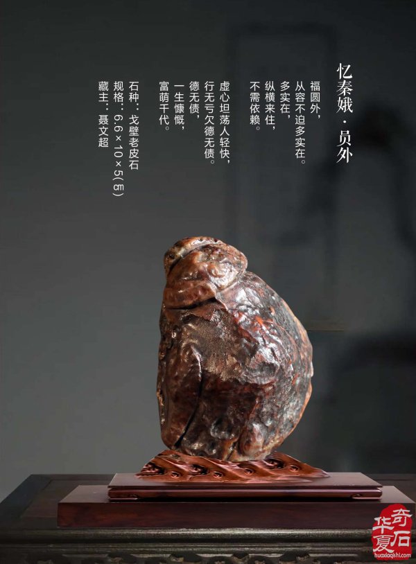 谈古论今赏美石就上《于公赏石》杂志