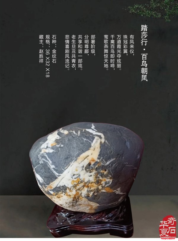 谈古论今赏美石就上《于公赏石》杂志