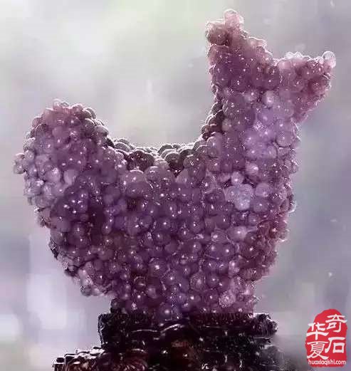 我爱你苍天般的阿拉善——行記 （1）