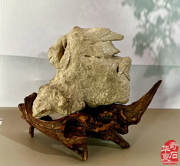 石魄臣魂：案头观石悟四臣