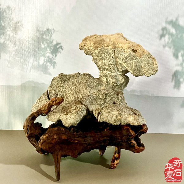 石魄臣魂：案头观石悟四臣