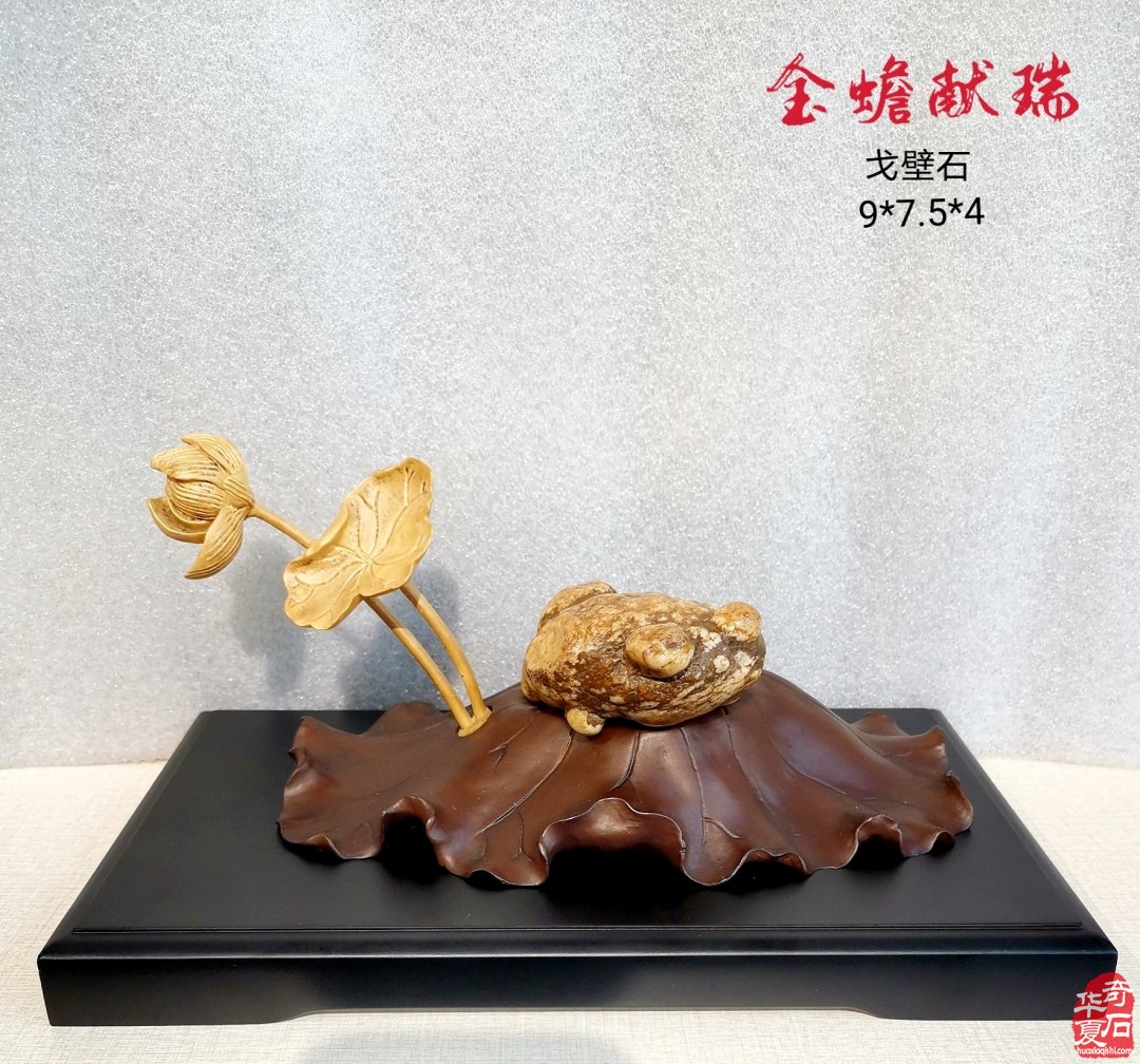 “黎氏阁杯”石博会启幕在即 洛阳代表团第三批到达展场