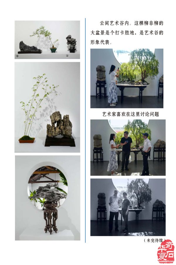 《于公赏石》告诉你石界有本事还要有诤友