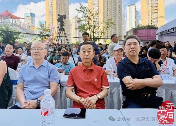2025“林城杯”赏石旅游博览会盛大开幕