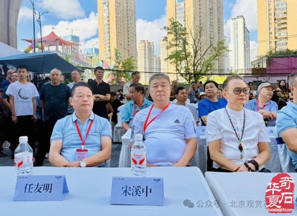 2025“林城杯”赏石旅游博览会盛大开幕