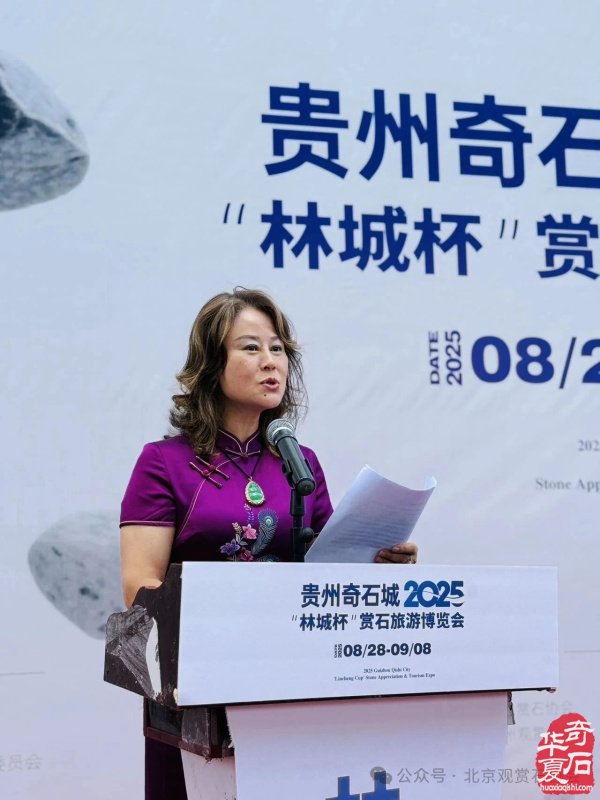 2025“林城杯”赏石旅游博览会盛大开幕