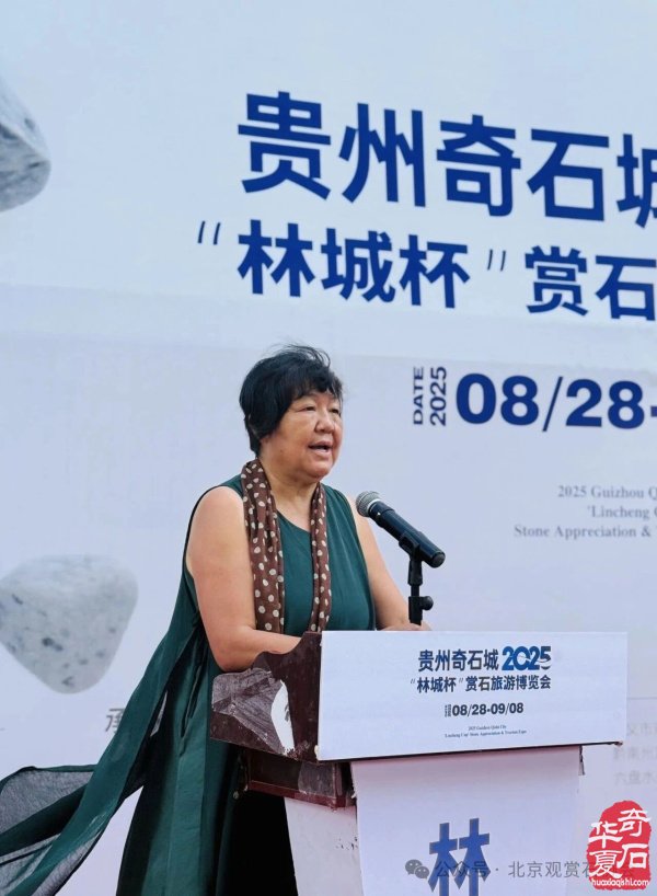 2025“林城杯”赏石旅游博览会盛大开幕