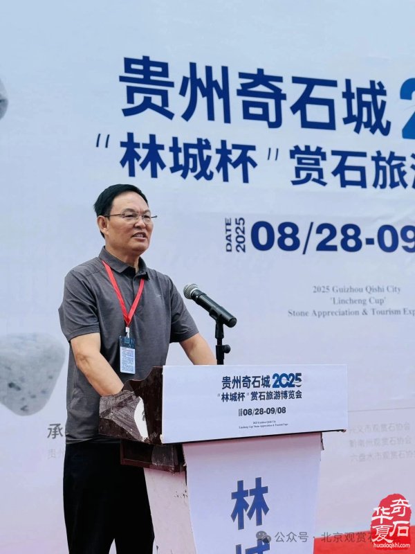 2025“林城杯”赏石旅游博览会盛大开幕