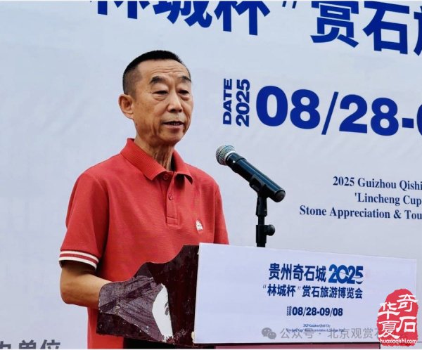 2025“林城杯”赏石旅游博览会盛大开幕