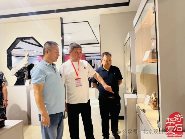 2025“林城杯”赏石旅游博览会盛大开幕