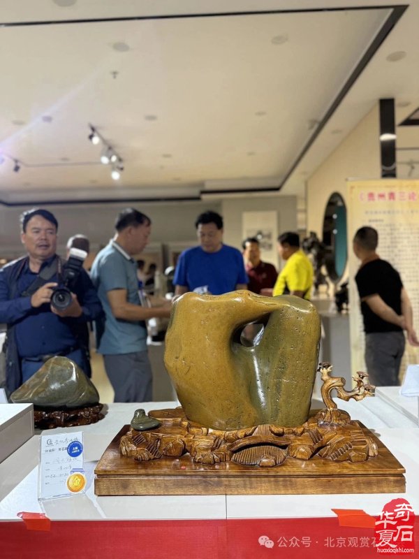 “林城杯”赏石旅游博览会金奖权威发布 组图