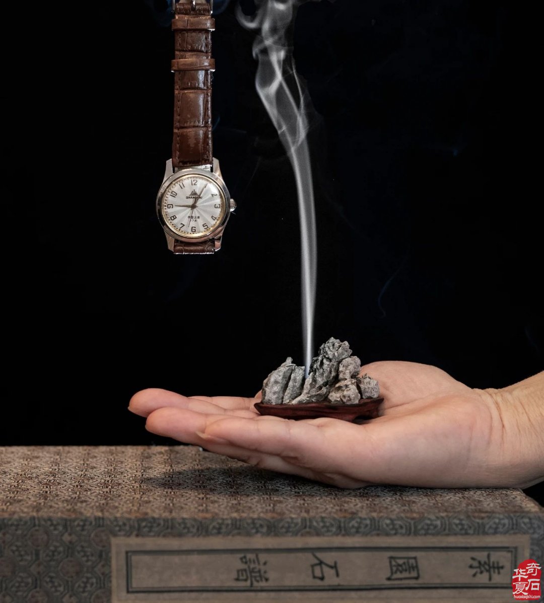 观念赏石与观念摄影的随想