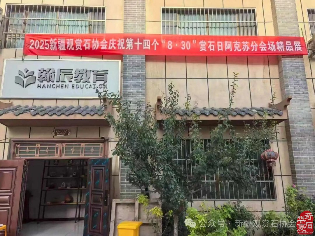 天山南北携手齐欢庆 美石为媒共迎赏石日——新疆观赏石协会成功举办“8·30”全国赏石日庆祝活动
