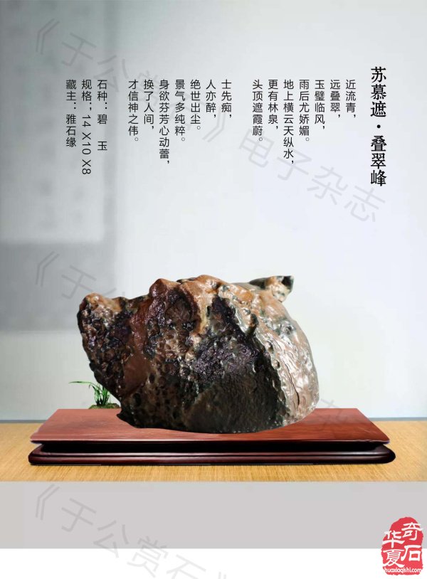 《于公赏石》介绍中石协秘书长曹毅然兰州调研