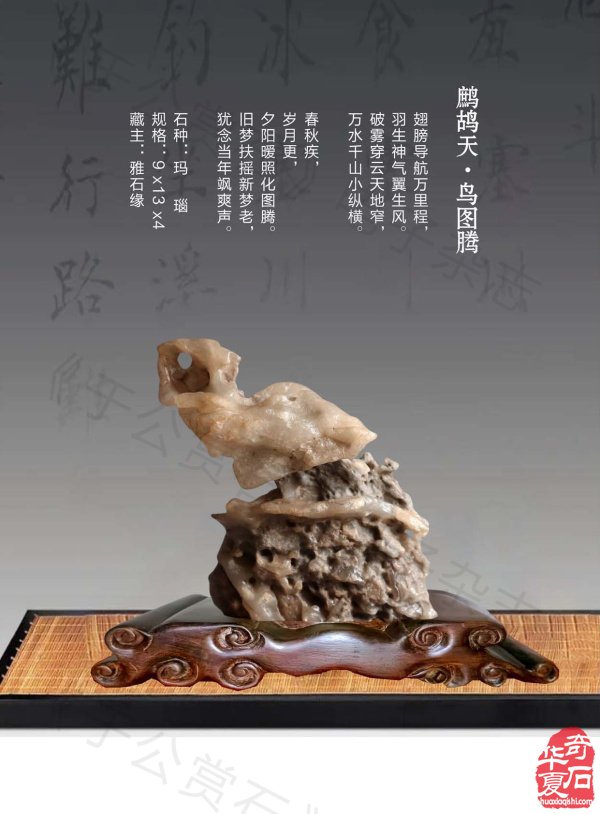 《于公赏石》介绍中石协秘书长曹毅然兰州调研