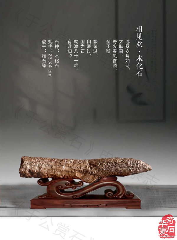 《于公赏石》介绍中石协秘书长曹毅然兰州调研