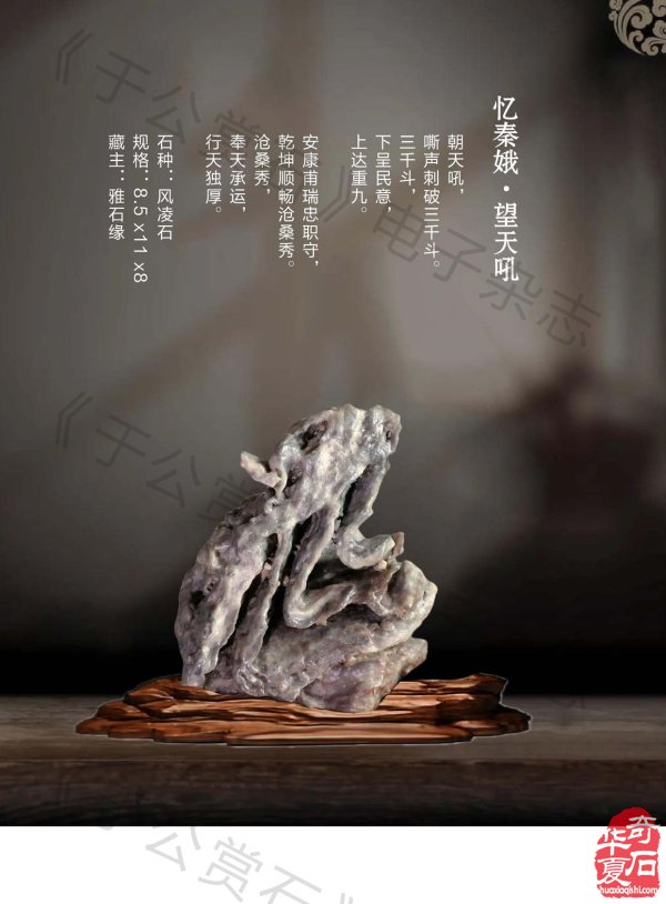 《于公赏石》介绍中石协秘书长曹毅然兰州调研