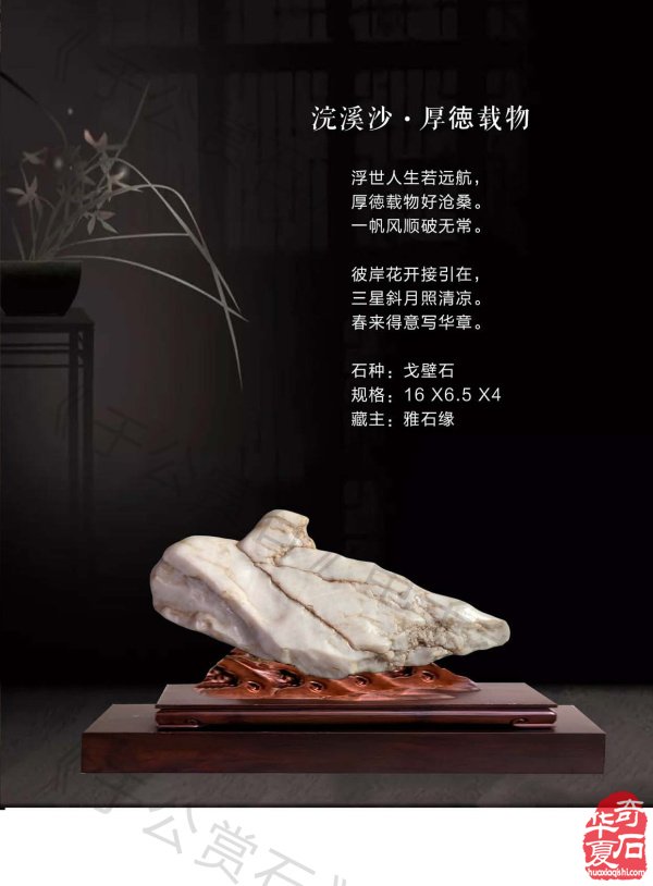 《于公赏石》介绍中石协秘书长曹毅然兰州调研