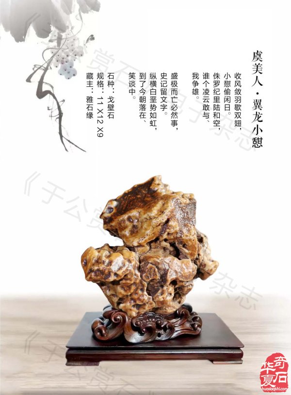 《于公赏石》介绍中石协秘书长曹毅然兰州调研