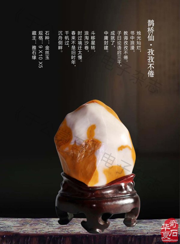 《于公赏石》介绍中石协秘书长曹毅然兰州调研