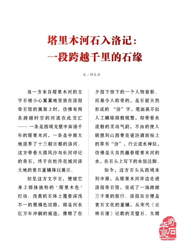 《于公赏石》介绍中石协秘书长曹毅然兰州调研