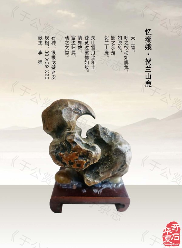 《于公赏石》介绍中石协秘书长曹毅然兰州调研