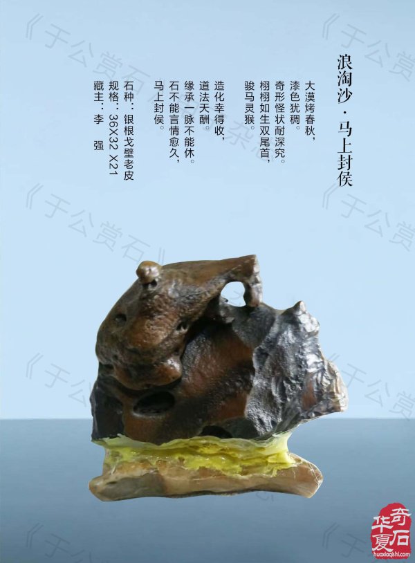 《于公赏石》介绍中石协秘书长曹毅然兰州调研