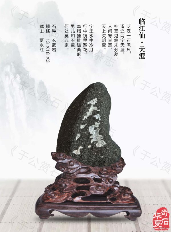 《于公赏石》介绍中石协秘书长曹毅然兰州调研