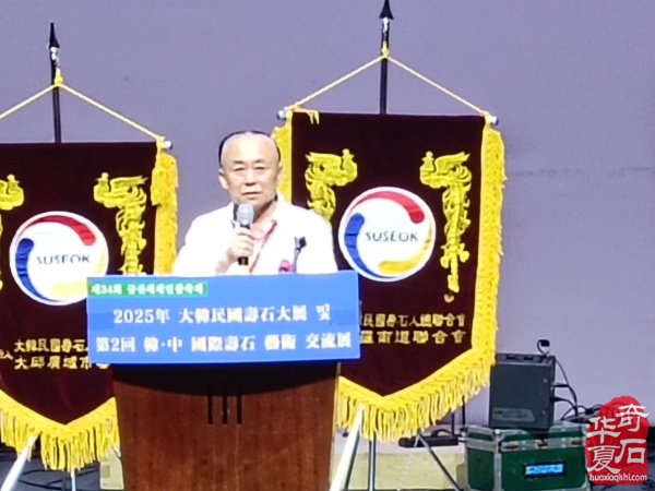中韩第八届国际赏石.寿石文化交流展盛大开幕