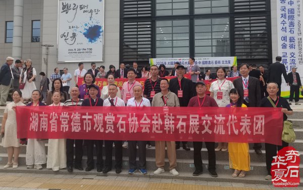 中韩第八届国际赏石.寿石文化交流展盛大开幕