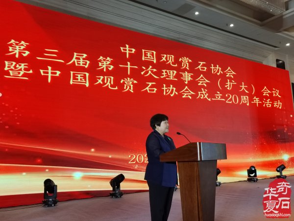 中国观赏石协会成立20周年庆典活动