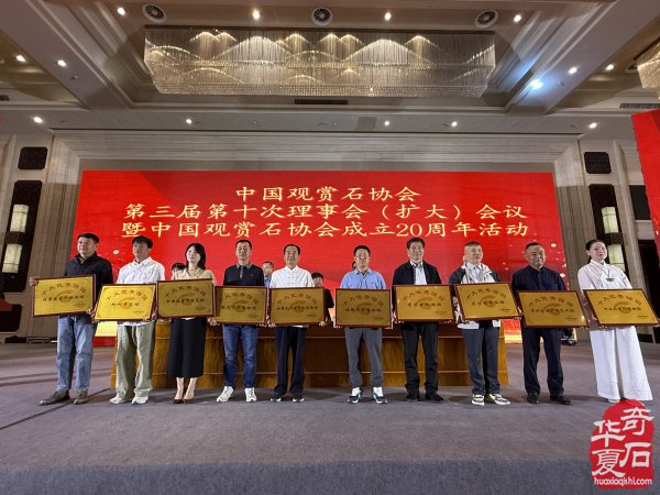 中国观赏石协会成立20周年庆典活动