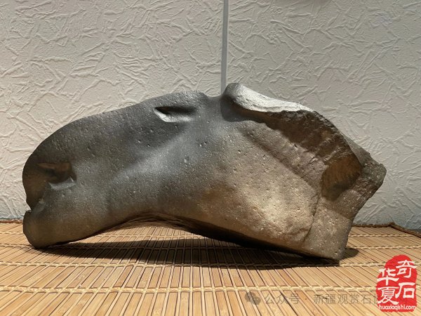 马鬃山古石器遗址群，解码西北史前人类生存智慧