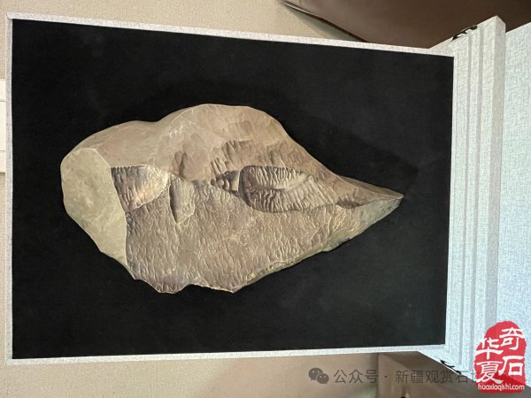 马鬃山古石器遗址群，解码西北史前人类生存智慧