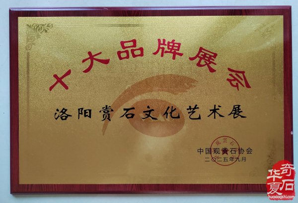 好消息!好消息!洛阳石界捷报频传