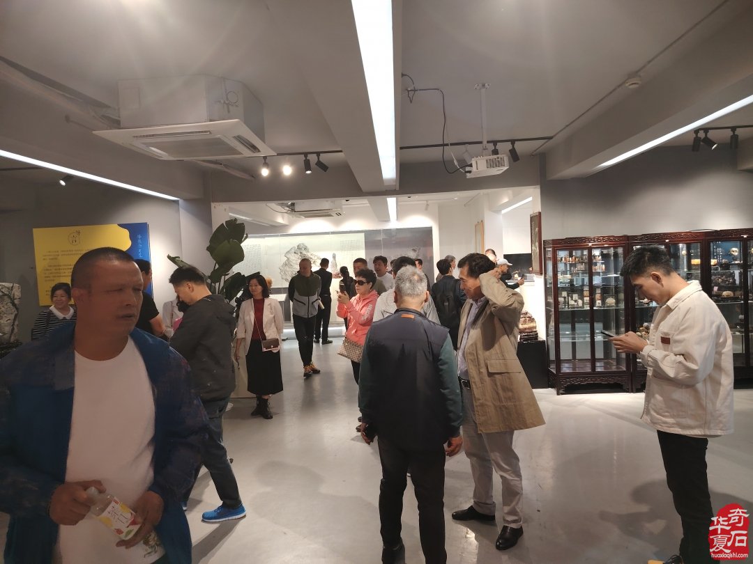 上海市观赏石协会为何今年秋不举办沪太石展
